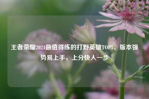 王者荣耀2024最值得练的打野英雄TOP5，版本强势易上手，上分快人一步