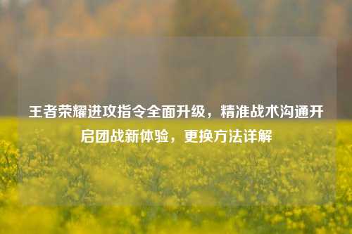 王者荣耀进攻指令全面升级，精准战术沟通开启团战新体验，更换 *** 详解