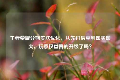王者荣耀分期皮肤优化，从先付后享到即买即爽，玩家权益真的升级了吗？