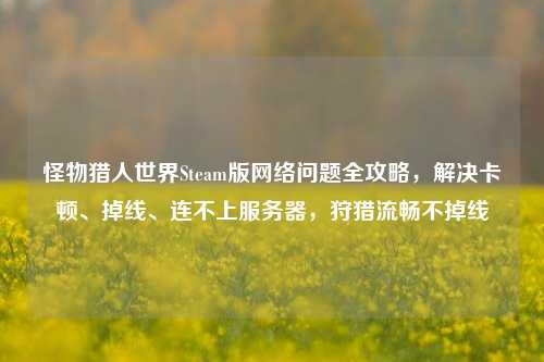 怪物猎人世界Steam版 *** 问题全攻略，解决卡顿、掉线、连不上服务器，狩猎流畅不掉线