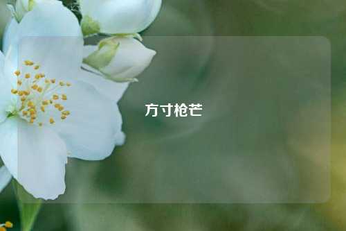 方寸枪芒