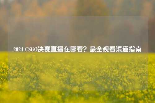 2024 CSGO决赛直播在哪看？最全观看渠道指南