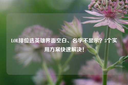 LOL排位选英雄界面空白、名字不显示？5个实用方案快速解决！