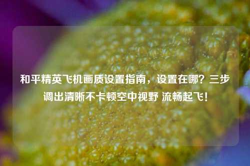 和平精英飞机画质设置指南，设置在哪？三步调出清晰不卡顿空中视野 流畅起飞！