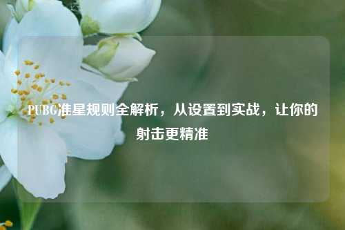 PUBG准星规则全解析，从设置到实战，让你的射击更精准