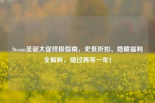 Steam圣诞大促终极指南,史低折扣、隐藏福利全解析,错过再等一年!