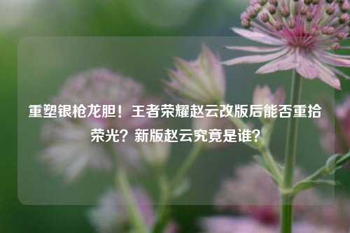 重塑银枪龙胆！王者荣耀赵云改版后能否重拾荣光？新版赵云究竟是谁？