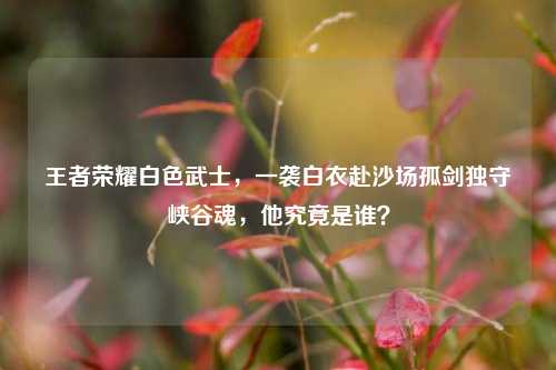 王者荣耀白色武士，一袭白衣赴沙场孤剑独守峡谷魂，他究竟是谁？