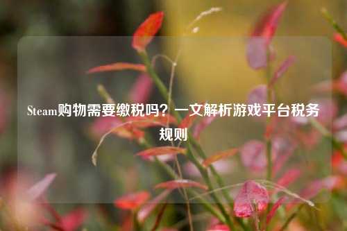 Steam购物需要缴税吗？一文解析游戏平台税务规则