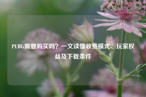 PUBG需要购买吗？一文读懂收费模式、玩家权益及下载条件