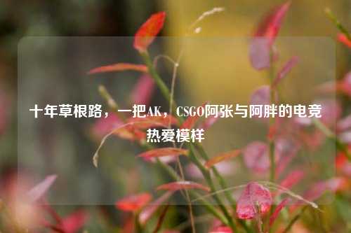十年草根路，一把AK，CSGO阿张与阿胖的电竞热爱模样