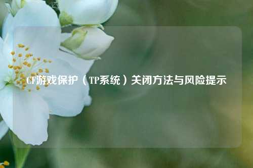 CF游戏保护（TP系统）关闭 *** 与风险提示