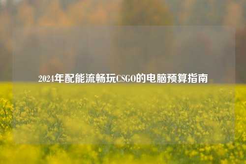 2024年配能流畅玩CSGO的电脑预算指南