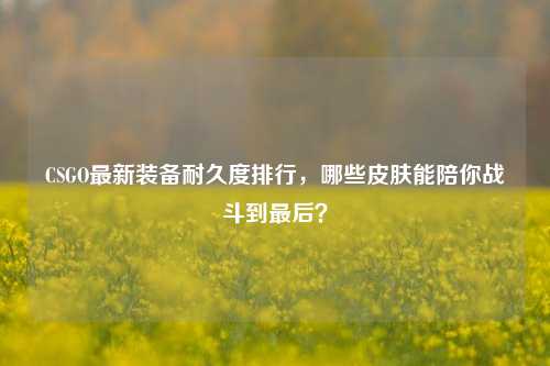 CSGO最新装备耐久度排行,哪些皮肤能陪你战斗到最后?