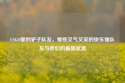 CSGO里的驴子队友，那些又气又笑的快乐猪队友与他们的最新武器