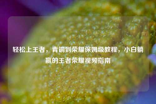 轻松上王者，青铜到荣耀保姆级教程，小白躺赢的王者荣耀视频指南
