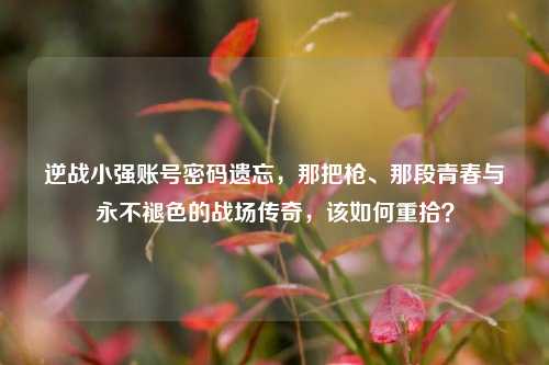 逆战小强账号密码遗忘，那把枪、那段青春与永不褪色的战场传奇，该如何重拾？