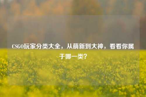 CSGO玩家分类大全，从萌新到大神，看看你属于哪一类？