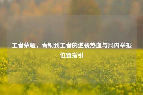 王者荣耀，青铜到王者的逆袭热血与局内举报位置指引