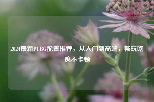2024最新PUBG配置推荐，从入门到高端，畅玩吃鸡不卡顿