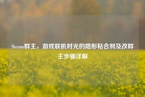Steam群主，游戏联机时光的隐形粘合剂及改群主步骤详解