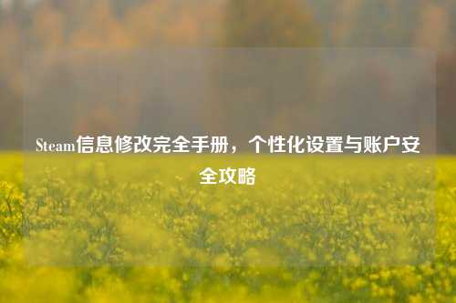 Steam信息修改完全手册,个性化设置与账户安全攻略