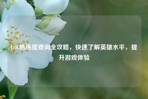 LOL熟练度查询全攻略，快速了解英雄水平，提升游戏体验
