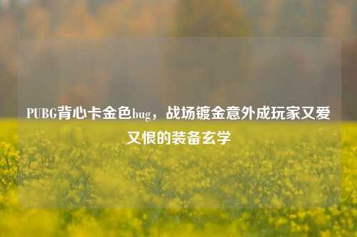 PUBG背心卡金 *** ug，战场镀金意外成玩家又爱又恨的装备玄学