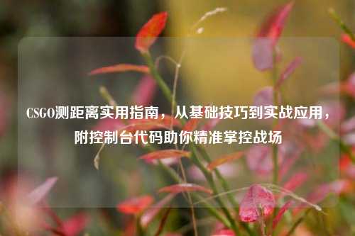 CSGO测距离实用指南，从基础技巧到实战应用，附控制台代码助你精准掌控战场