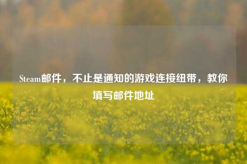 Steam邮件，不止是通知的游戏连接纽带，教你填写邮件地址