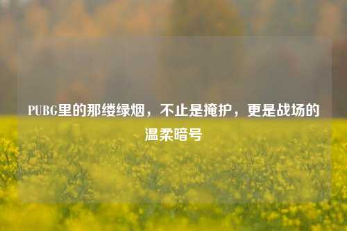 PUBG里的那缕绿烟,不止是掩护,更是战场的温柔暗号