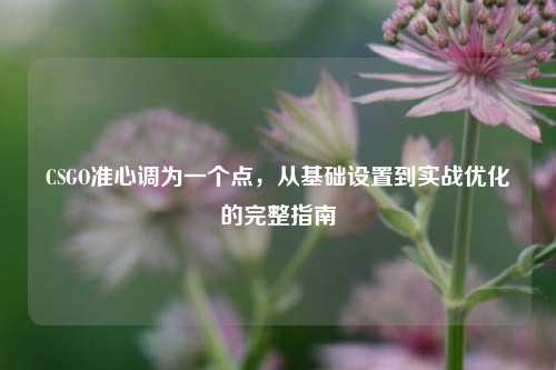 CSGO准心调为一个点，从基础设置到实战优化的完整指南