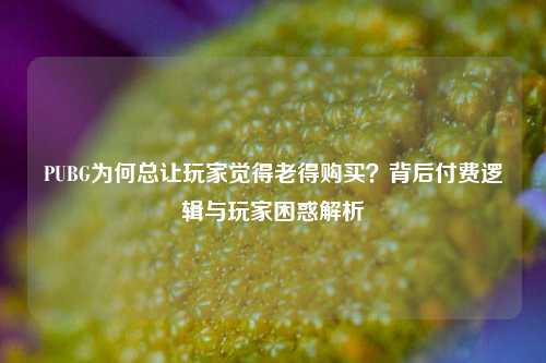 PUBG为何总让玩家觉得老得购买？背后付费逻辑与玩家困惑解析