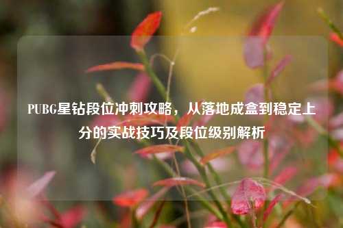 PUBG星钻段位冲刺攻略，从落地成盒到稳定上分的实战技巧及段位级别解析