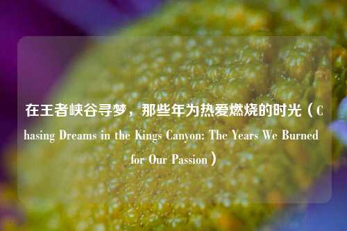 在王者峡谷寻梦，那些年为热爱燃烧的时光（Chasing Dreams in the Kings Canyon: The Years We Burned for Our Passion）