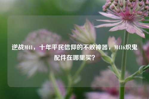 逆战M41，十年平民信仰的不败神器，M416炽鬼配件在哪里买？