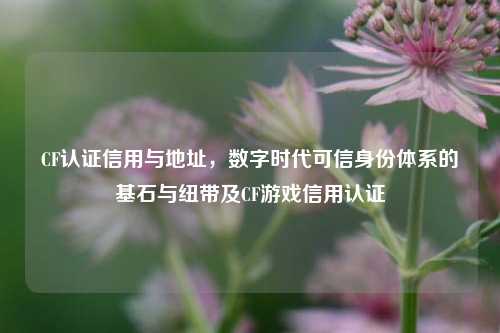 CF认证信用与地址，数字时代可信身份体系的基石与纽带及CF游戏信用认证
