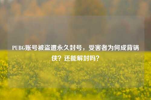 PUBG账号被盗遭永久封号，受害者为何成背锅侠？还能解封吗？