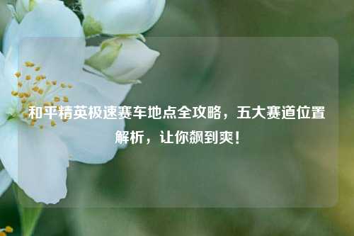 和平精英极速赛车地点全攻略，五大赛道位置解析，让你飙到爽！