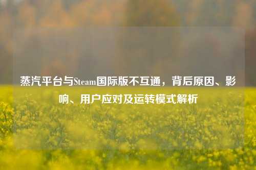 蒸汽平台与Steam国际版不互通，背后原因、影响、用户应对及运转模式解析