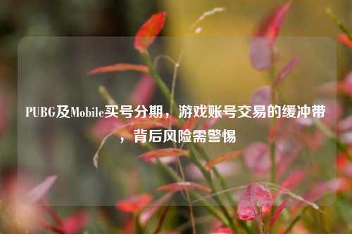 PUBG及Mobile买号分期，游戏账号交易的缓冲带，背后风险需警惕