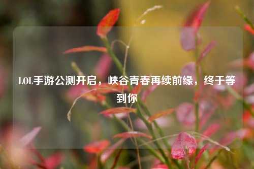 LOL手游公测开启,峡谷青春再续前缘,终于等到你