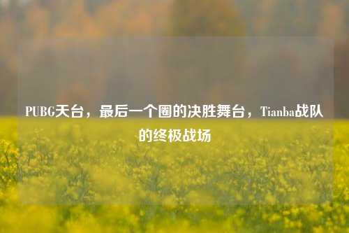 PUBG天台，最后一个圈的决胜舞台，Tianba战队的终极战场
