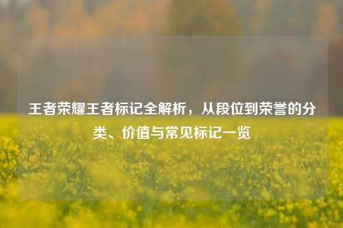 王者荣耀王者标记全解析，从段位到荣誉的分类、价值与常见标记一览