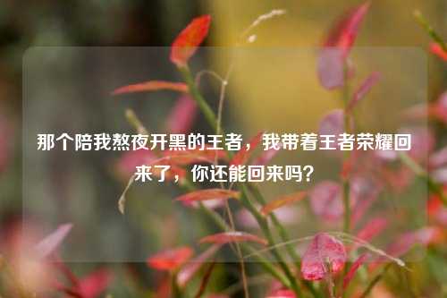 那个陪我熬夜开黑的王者，我带着王者荣耀回来了，你还能回来吗？