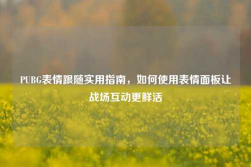 PUBG表情跟随实用指南，如何使用表情面板让战场互动更鲜活