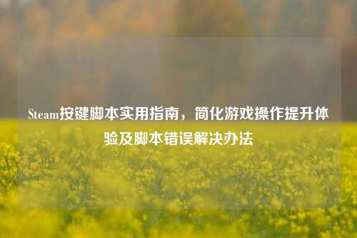 Steam按键脚本实用指南，简化游戏操作提升体验及脚本错误解决办法