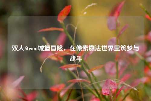 双人Steam城堡冒险，在像素魔法世界里筑梦与战斗