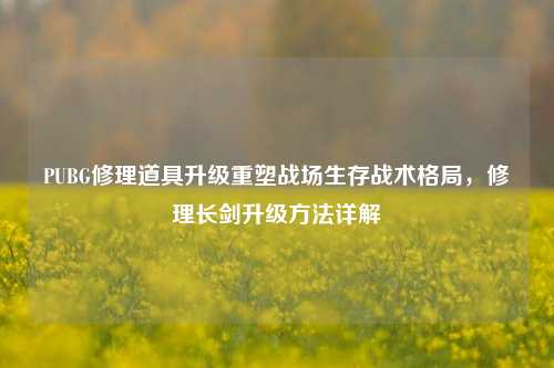 PUBG修理道具升级重塑战场生存战术格局，修理长剑升级 *** 详解