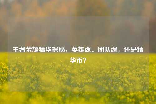 王者荣耀精华探秘，英雄魂、团队魂，还是精华币？